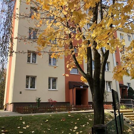 Apartament Krakowska Бохня Экстерьер фото