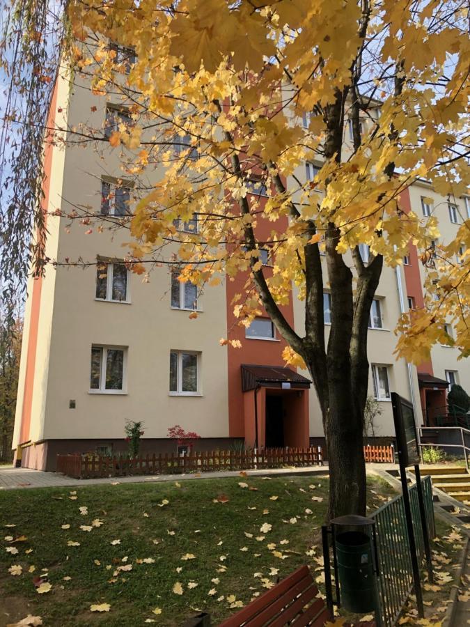Apartament Krakowska Бохня Экстерьер фото